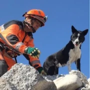 Picture 1_200x200.jpg