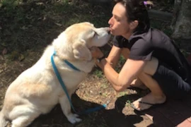 Managing the Geriatric Small Animal