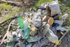 Nachhaltigkeit in der Haustierhaltung - Kunststoffe sinnvoll ersetzen