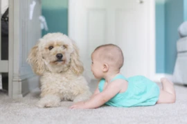 Children and dogs: How understanding nature enables us to nurture