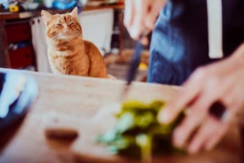 Das optimale Katerfrühstück