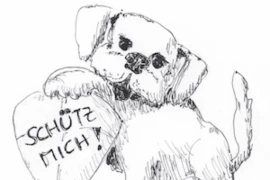 Borreliose, Anaplasmose, Babesiose und Co. – Schützen Sie Ihren Hund