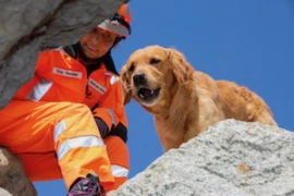 Redog - Wie wird ein Rettungshund ausgebildet?