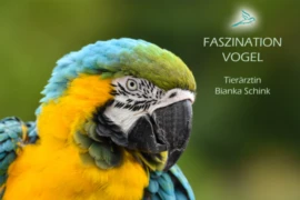 Faszination Vogel